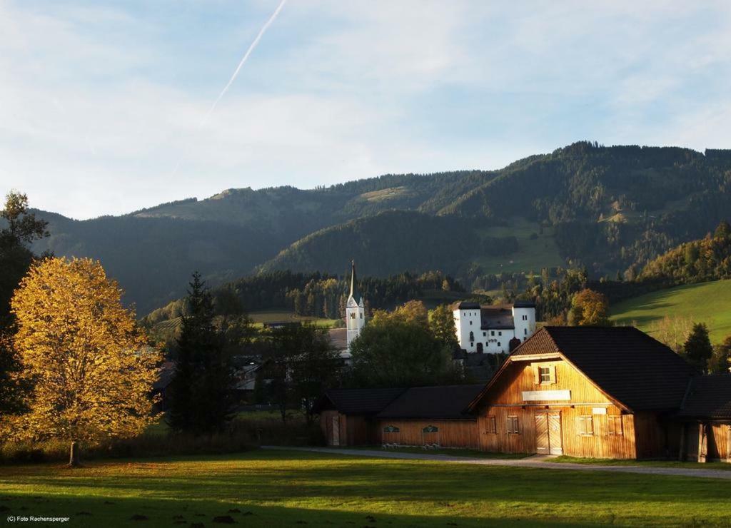 Biobergbauernhof Bergzeit Apartment In Goldegg Zewnętrze zdjęcie